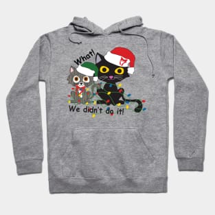 Troubling pair at Christmas Hoodie